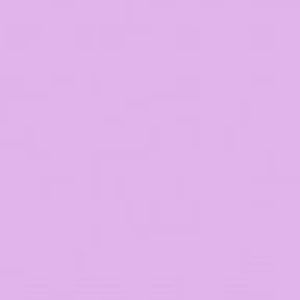 Meet your Posher, Mackenzie